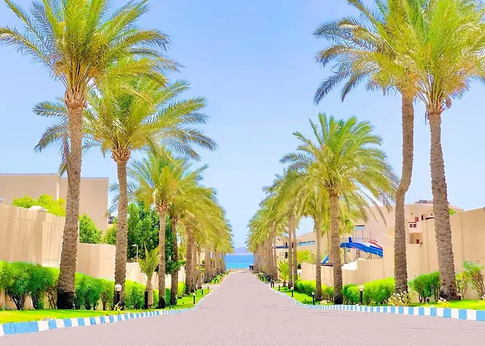 Ivy Cyrene Island Aqua Park (adults Only) Resort Sharm el-Sheikh