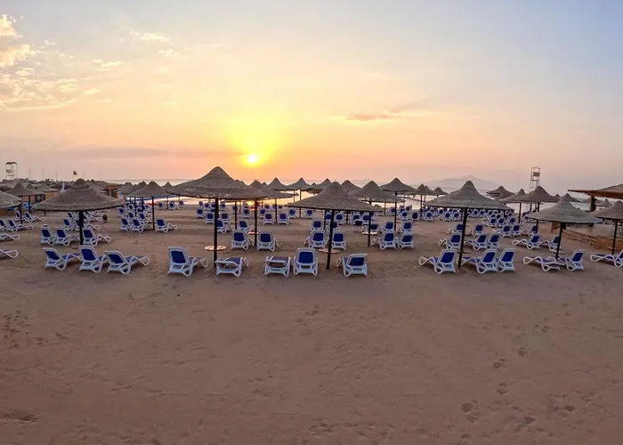 Ivy Cyrene Island Aqua Park (adults Only) Resort Sharm el-Sheikh